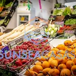 Paraiso Costero Palmar *