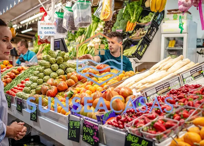 Paraiso Costero Palmar